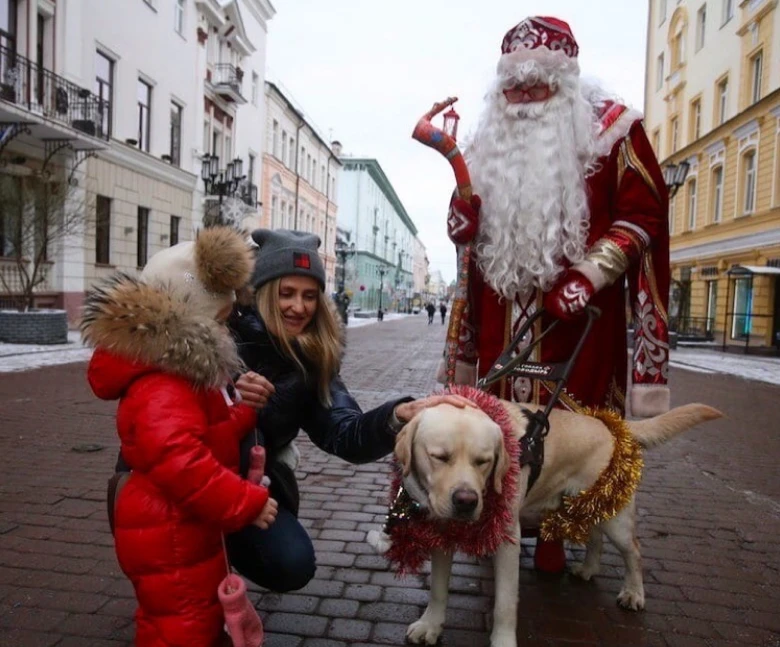 В Нижегородской области инвалида выгнали из автобуса: мужчина отказался платить за собаку-поводыря