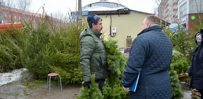 Незаконная торговля новогодними елям пресечена в Нижнем Новгороде