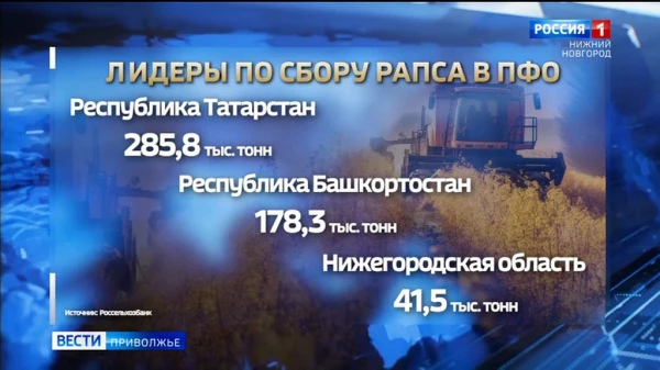 �� ���� ��� ���� ����� � ����������� ����������� ������ ����� ����� ��� � ��� ����