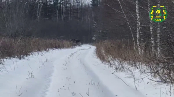  ���������������� �� ���� ���� ������� ����� � ����������� ������