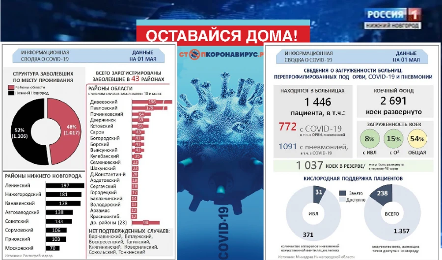 Диаграмма заболеваемости коронавирусом в нижнем