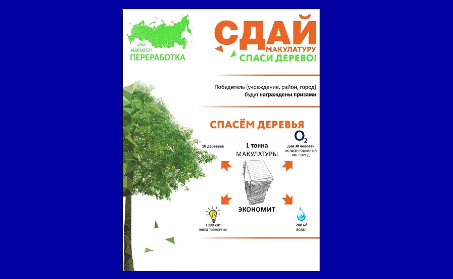 Экомарафон «Сдай макулатуру - спаси дерево!» пройдет в Нижегородской области