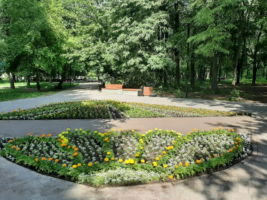 Более семи тысяч цветов высадили в нижегородских парках