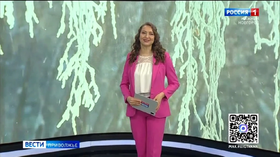 ������� �����. ����� ������ � �������� �������� (19 - 25 ������ 2026 �)