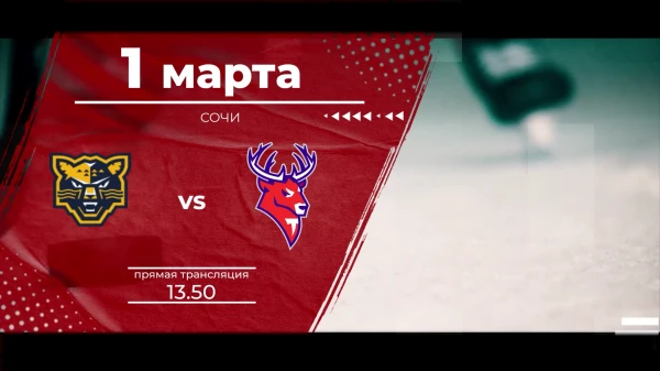 ���� ��� "����" - "�������": ������� �� ����� �� ���������� "������ �������� 24" � �� ����� "����"