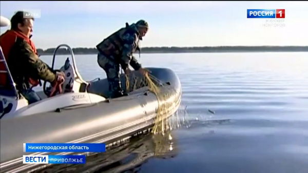 ��� ������� ����� �����������