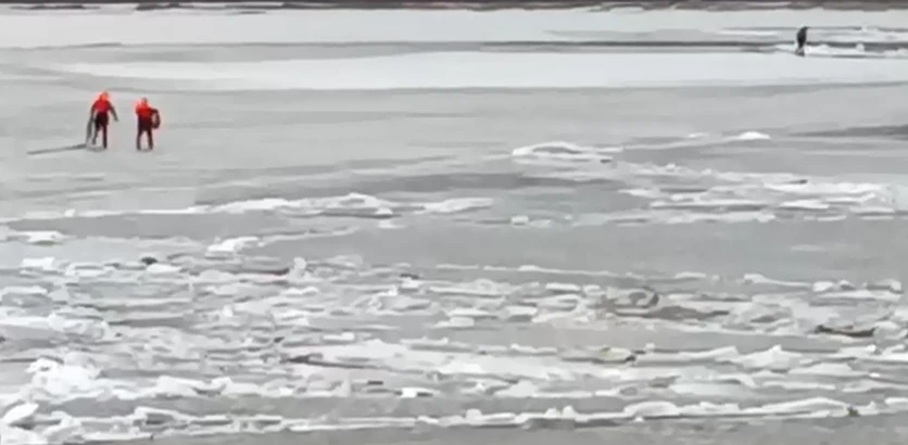 В Нижнем Новгороде мужчина убежал от спасателей по льдинам на Оке