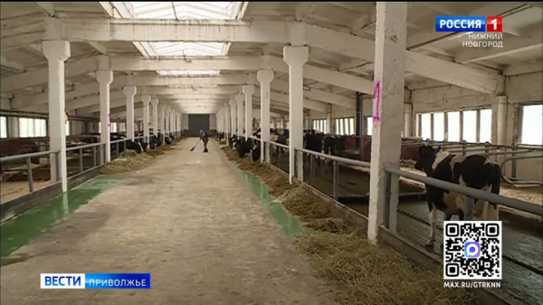 ������������� ������� ����� � ���-5 �������� ������������ ������������ ������ �� ������������ ��� � ������