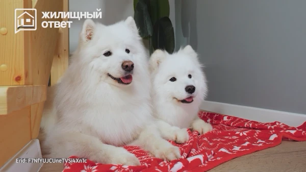 ��� ��� ����� ���� ��� �� �������!