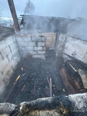 Два человека погибли на пожаре в борском поселке