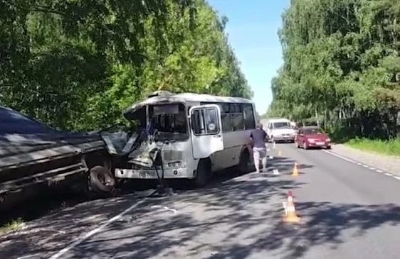 Семь человек пострадали в ДТП с автобусом и грузовиком в Нижегородской области