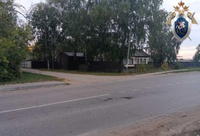 В Нижегородской области арестовали водителя, который выронил пассажиров из багажника