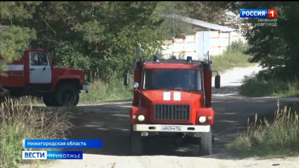МЧС предупреждает: В Нижегородской области сохраняется высокая пожароопасность лесов и торфяников 