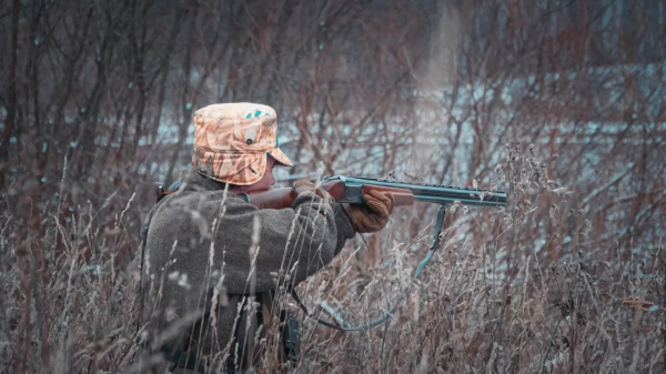 60 ������ � 215 ����� ������ �������� � ������������� ������� � 2025 ����