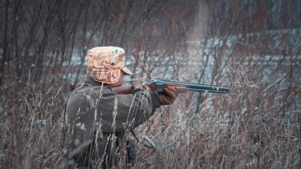 60 ������ � 215 ����� ������ �������� � ������������� ������� � 2025 ����