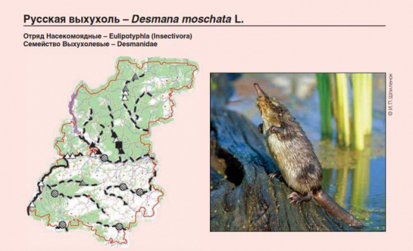 ������ ��� ������� ����� ������������� ������� ����� � ����������� 