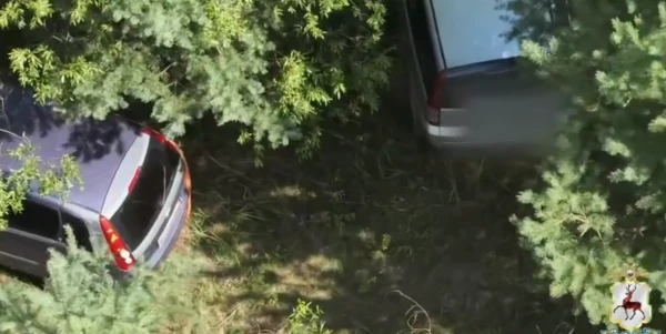 ������������ ������� ����������� �������� ����� ������� �����������