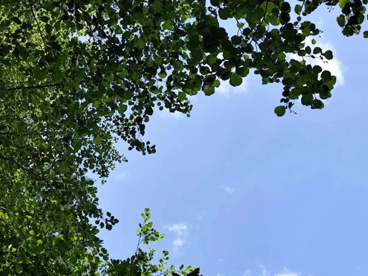  � ������������� ������� ������ ���������� ����������� ����