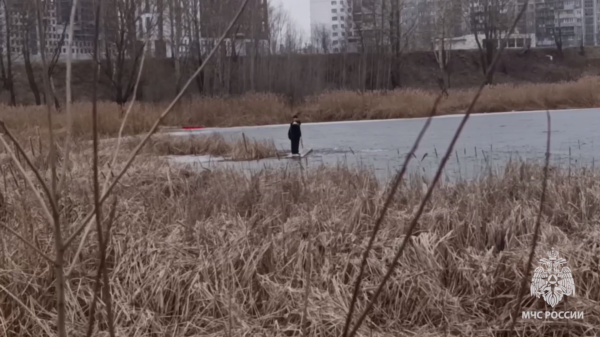 В Нижнем Новгороде спасли двух подростков, провалившихся под лед на Мещерском озере