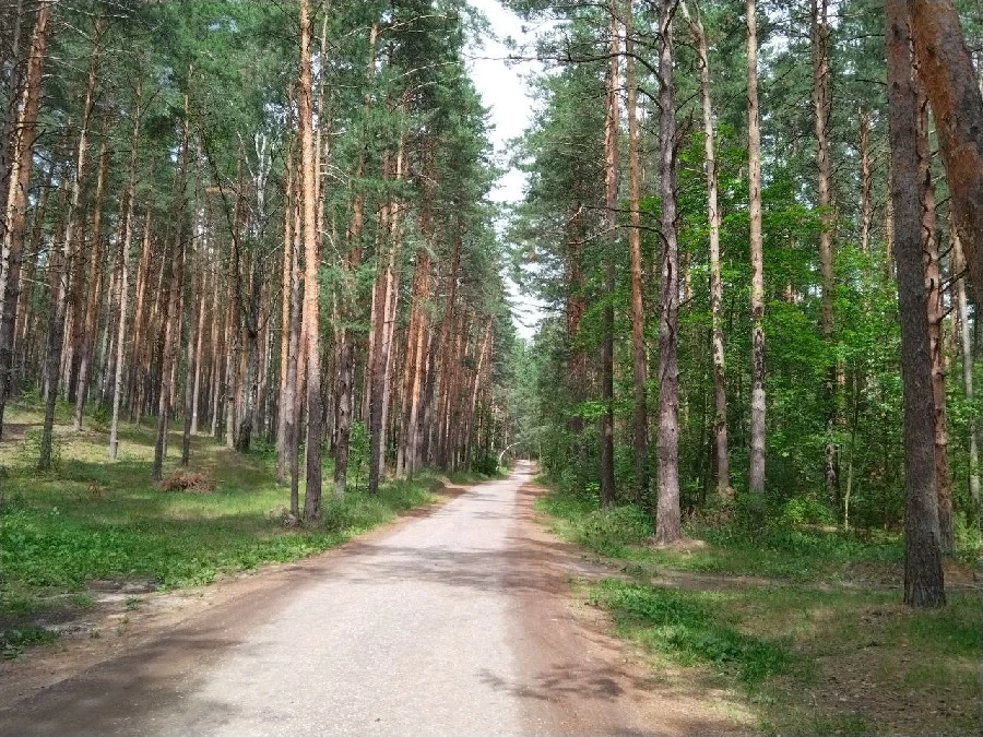 Высокая пожароопасность сохраняется в лесах Нижегородской области 