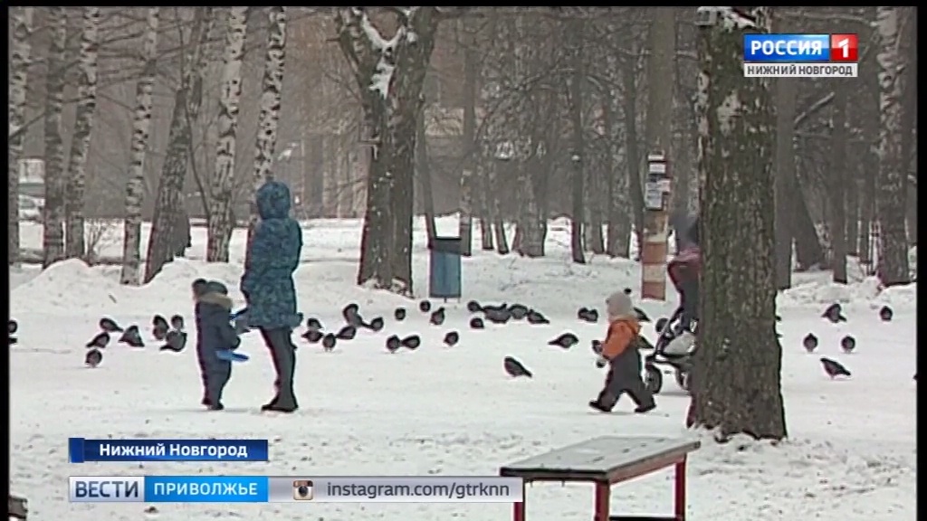 Погода в нижегородской 10 дней. Гололед Нижний Нижний Новгород. Вести Приволжье гололед. Гололед в Нижнем Новгороде сегодня. Гололедица в Нижнем Новгороде.