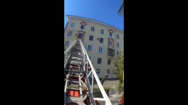 � ���������� ������ �������, ������� ������ �� ���� 5 ����� 