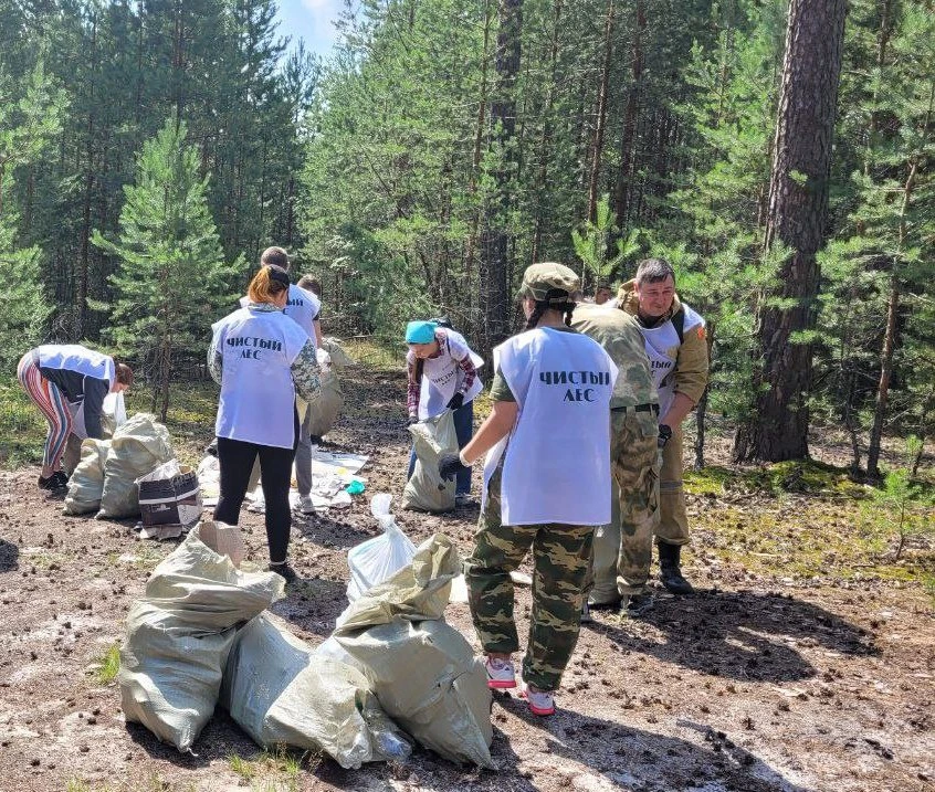 Свыше 50 кубометров мусора убрали с несанкционированной свалки в лесничестве Кулебакского района