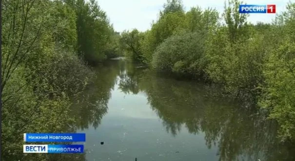 Экотропу планируется создать на реке Левинке в Нижнем Новгороде