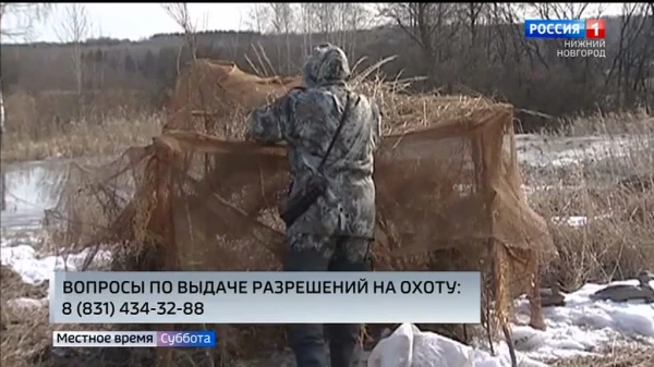 В Нижегородской области началась выдача разрешений на добычу пернатой дичи в весенний сезон охоты