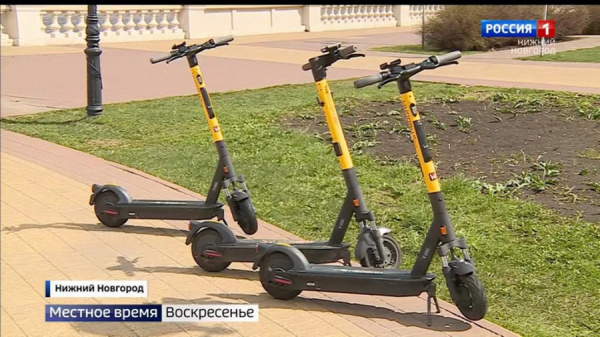 За жалобы на недобросовестных самокатчиков могут начать платить деньги 