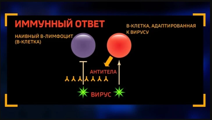 Лекарства в аптеках Рима и в Италии