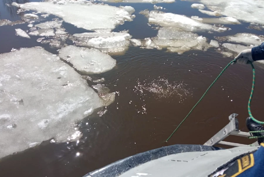 Мужчина утонул в Волге, упав с паромной переправы в Нижегородской области 