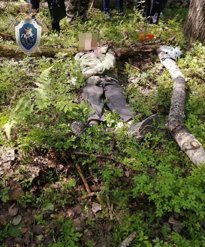Рабочий погиб при валке леса в Ковернинском районе