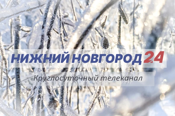 Программа передач телеканала “Нижний Новгород 24” на 1 декабря