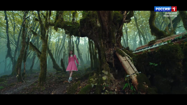  :      25 - 26  2025 