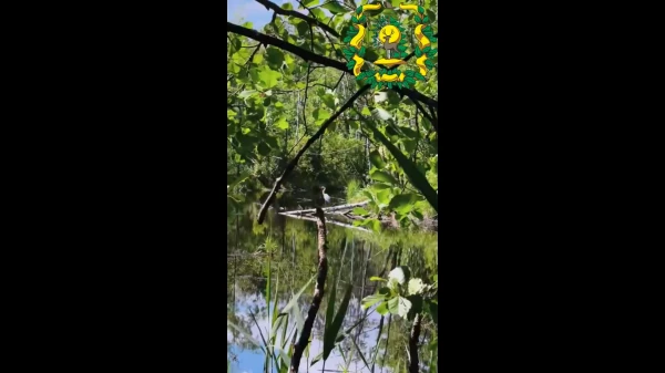 ������� ����� ����� ������� ������������� �� ����� ������ ���������� � ������������ ������ 