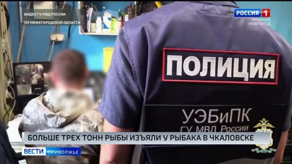 Чкаловские полицейские изъяли тонны немаркированной рыбы