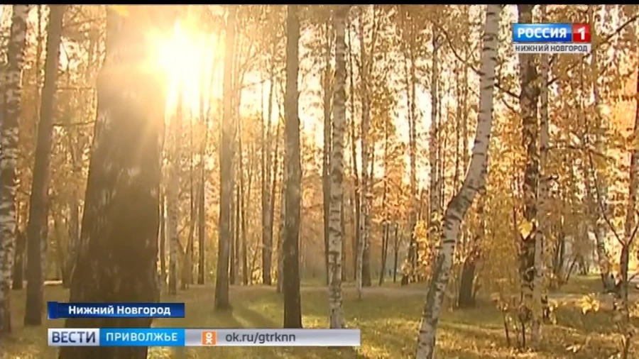 Осень вскоре захватит большую часть Европейской территории России