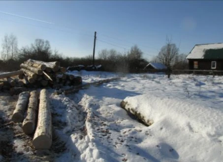 Жителя Воротынского района ждет наказание за незаконную рубку леса на охраняемой территории