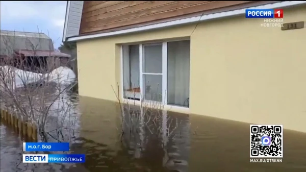 ����� ��� ��������� �������� �� ���� 