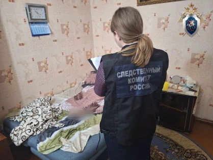 Трехлетняя девочка утонула в ванной в селе в Нижегородской области