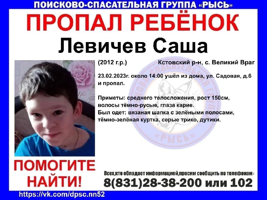 В Нижегородской области ищут пропавшего накануне 10-летнего мальчика