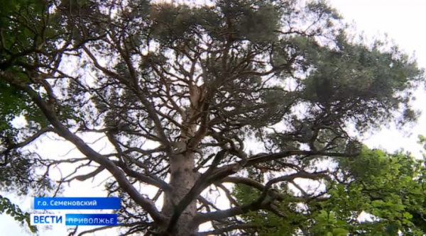 ������� ��������� ������� ����� ��������� ��� 350-������ ����� � ������� ��������