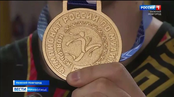 ����������� ������ ������ ���� ����������� ������� ������ � ������� ��������� 81 ��