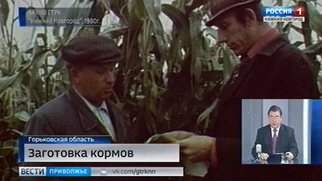 "Горьковские новости": битва за урожай и заготовка кормов 1980 года