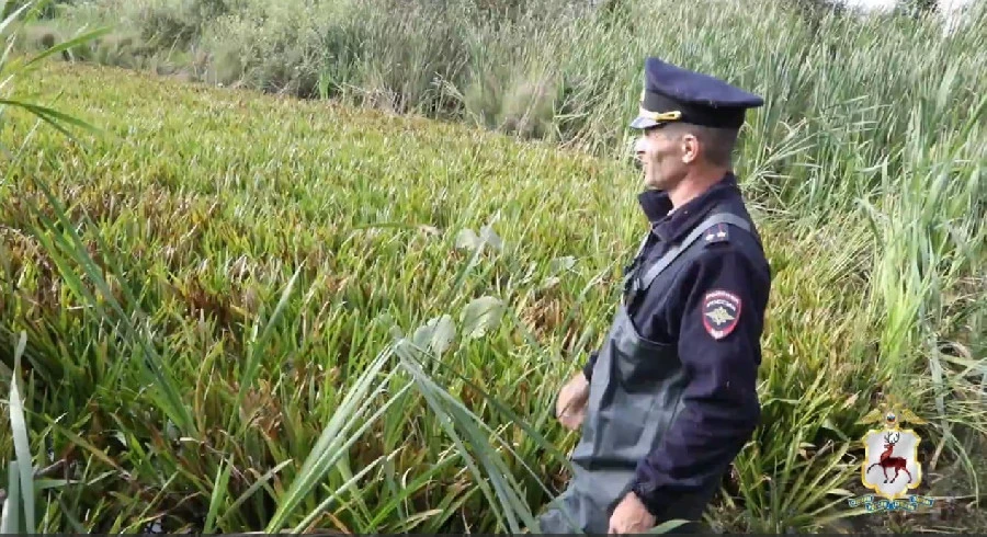 В Нижегородской области подросток увяз в болоте и больше суток ждал помощи