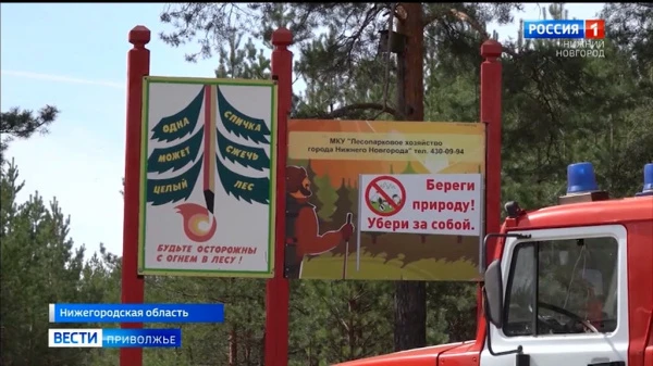 До 29 апреля по Нижегородской области ожидается высокая пожароопасность лесов и торфяников 4 класса
