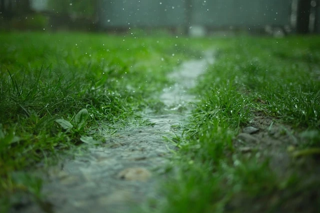 Сильные дожди обрушатся на Нижегородскую область 3 июня