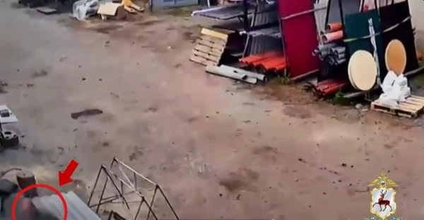 � ����������� �� ������� ������ �������� �����