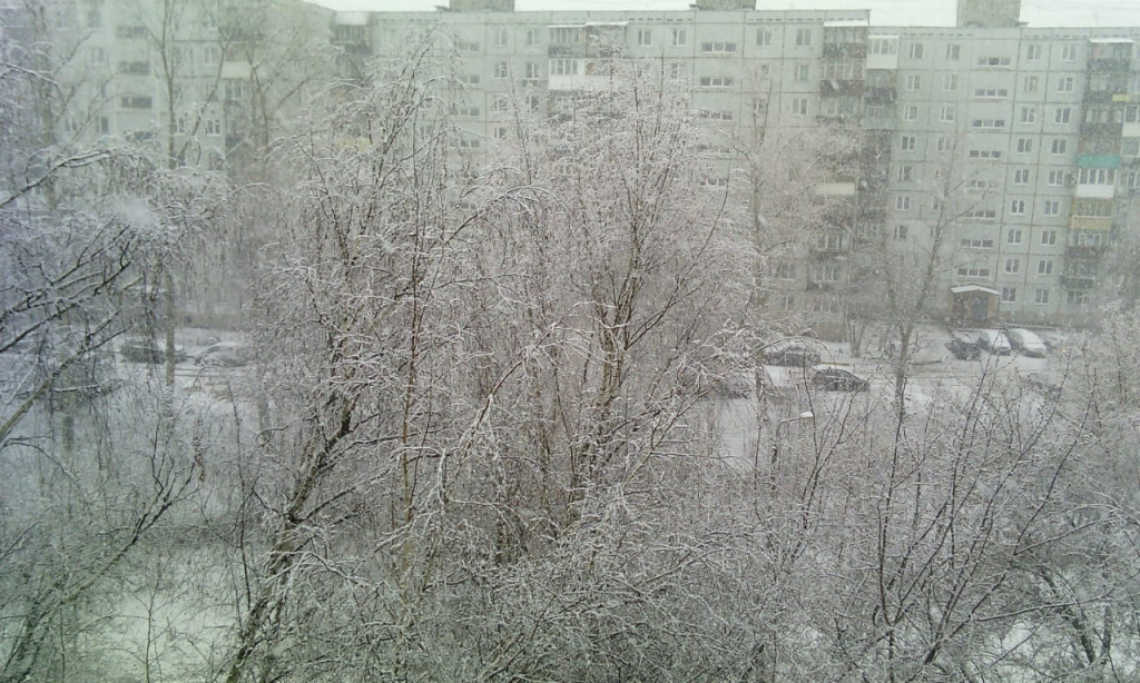 снег006.jpg